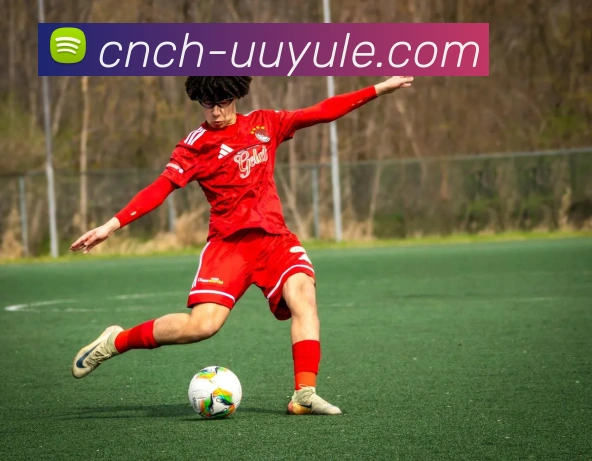 uu娱乐官网发展历程